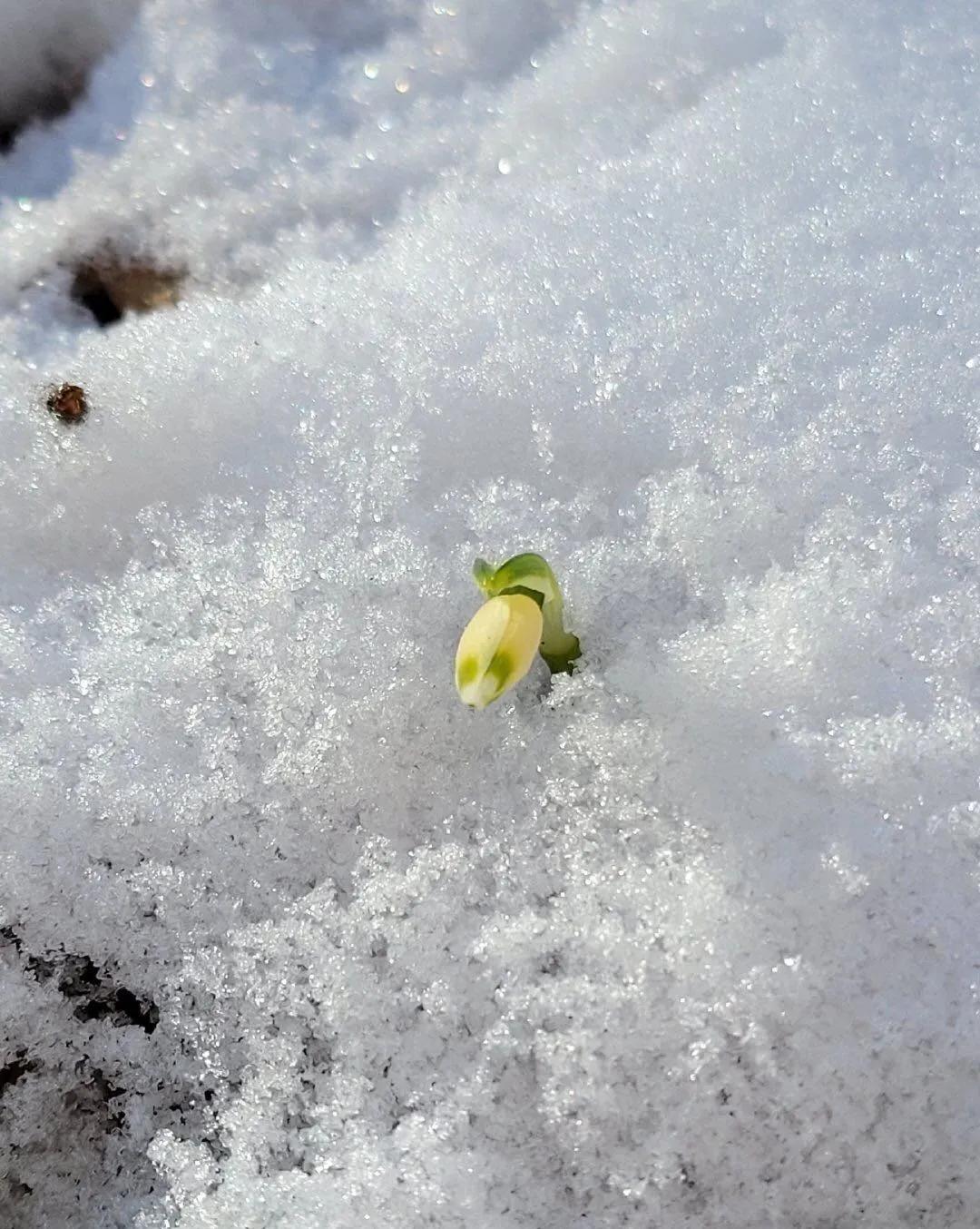 学车记分制,学车记