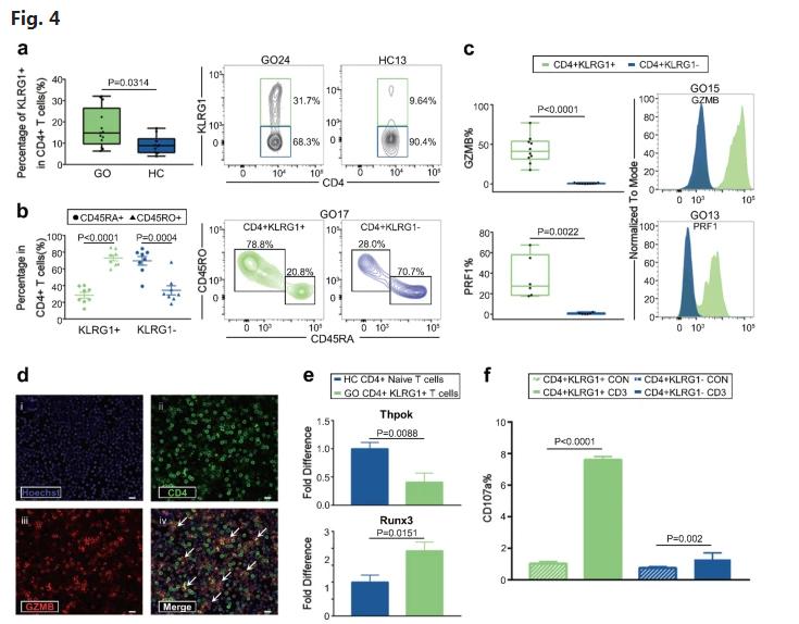 国际首次！陕西教授团队在眼病治疗中又获重大突破，引起国际关注！