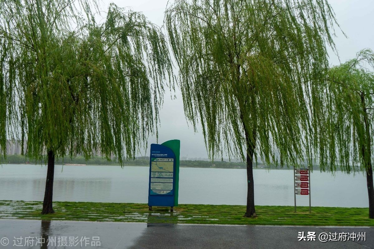 河南地图形状像动物,河南省地图轮廓为什么像大象