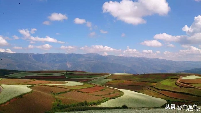 十代雅阁混动版与英诗派太空银,十代雅阁太空银还是白色好看