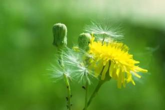 经典夏日诗,最经典的夏日诗