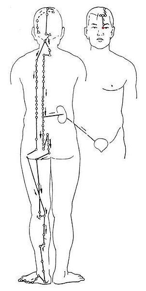 中医如何辨证肥胖,中医减肥怎样判断肥胖类型