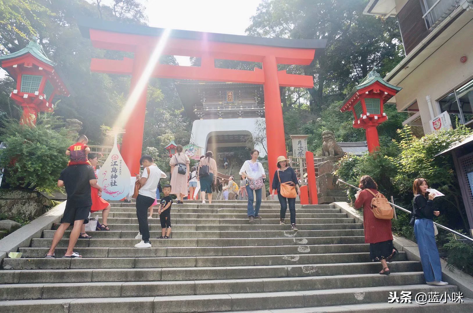 日本自由行7天看富士山,东京自由行攻略东京富士山自由行
