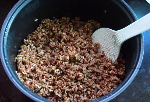 为什么吃猪肚能养胃,胃不好的人猪肚炖什么能养胃