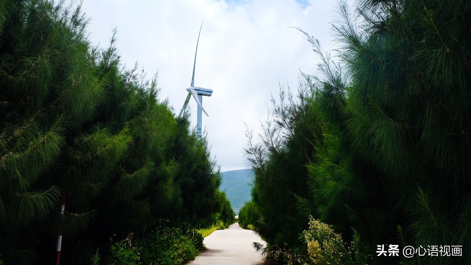 这才是福建,福建神仙岛旅游攻略