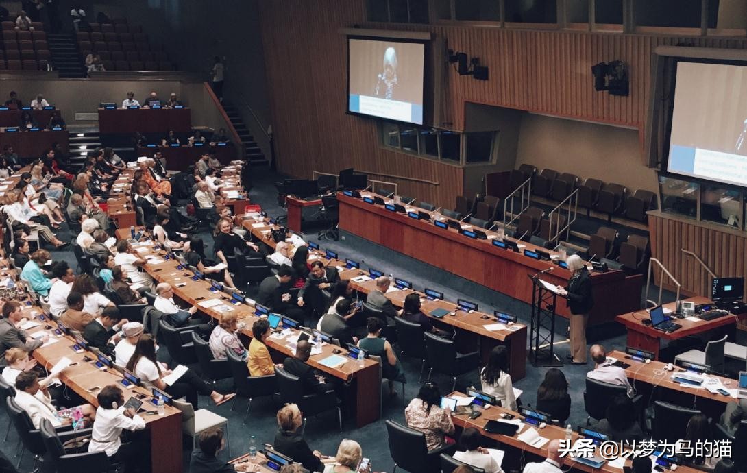 二本文科生报这9个专业靠谱，不仅找工作容易，发展潜力也挺大