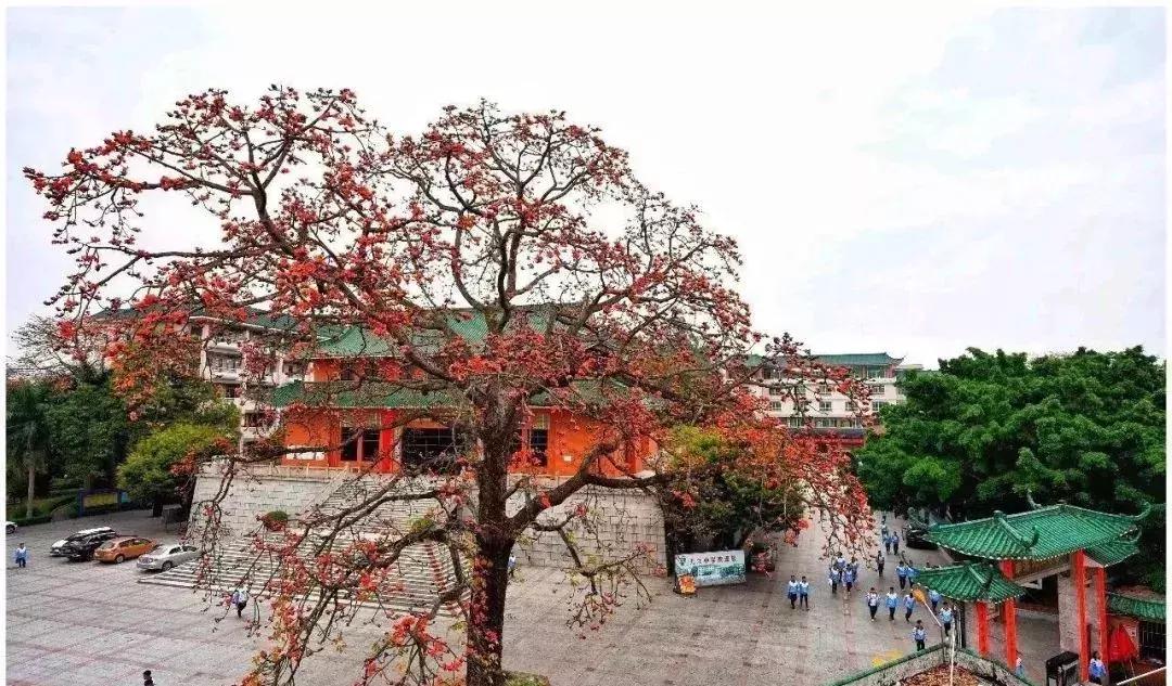 佩奇抢红包,佛山校历2021-2022