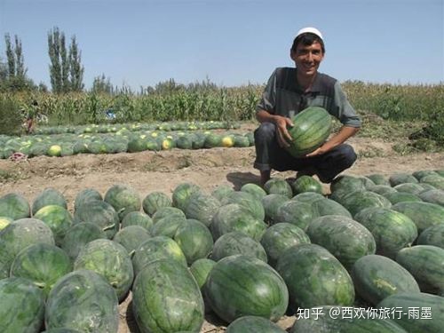 *疆新**瓜果攻略最好的季节配最美味的水果