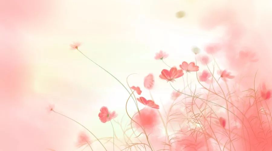 作文排比句中间段,作文排比句子100个