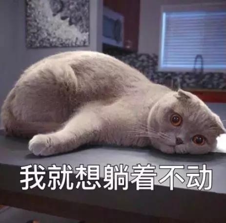 烟酰胺玻尿酸水光焕颜片美白效果,烟酰胺玻尿酸精华液美白淡斑霜