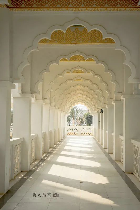 超美!大漠孤烟,湖光山色,走进异域风情的“塞上江南”