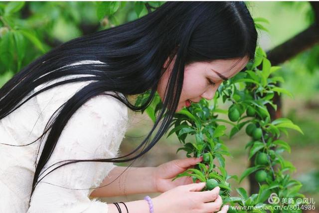 大美新蔡生态水城,大美新蔡等你来