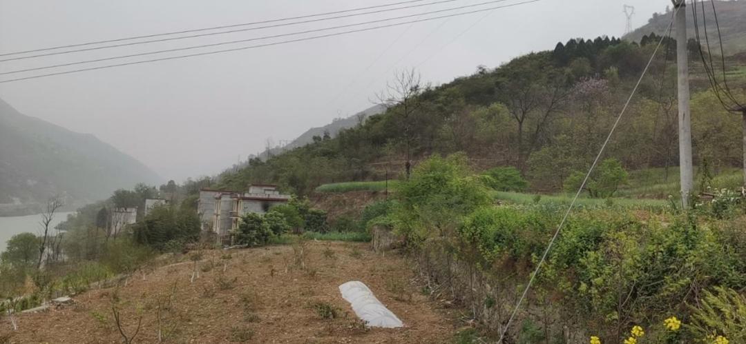 47岁大叔电商创业纪实,一个农村电商创业的故事