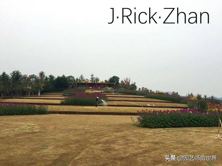 高尔夫果岭草坪家庭院子种植,麦冬草坪种植方法和注意事项