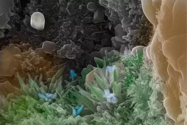 绉戠爺澹佺焊,绉戠爺浜虹殑鏂板勾澹佺焊