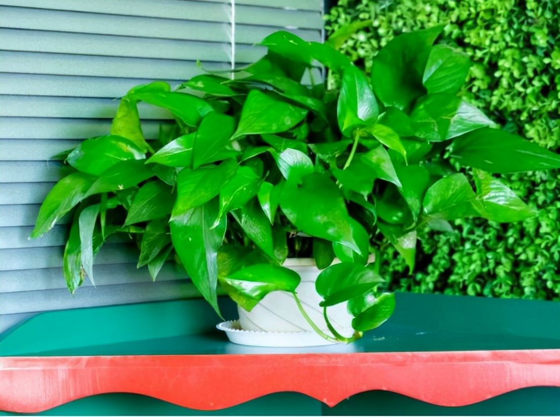 冬天新房快速去除甲醛正确方法,甲醛治理是缓解甲醛挥发速度吗