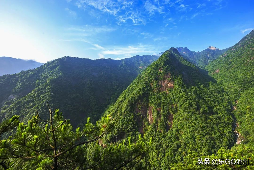牯牛降直播间回放,石台县牯牛降直播间