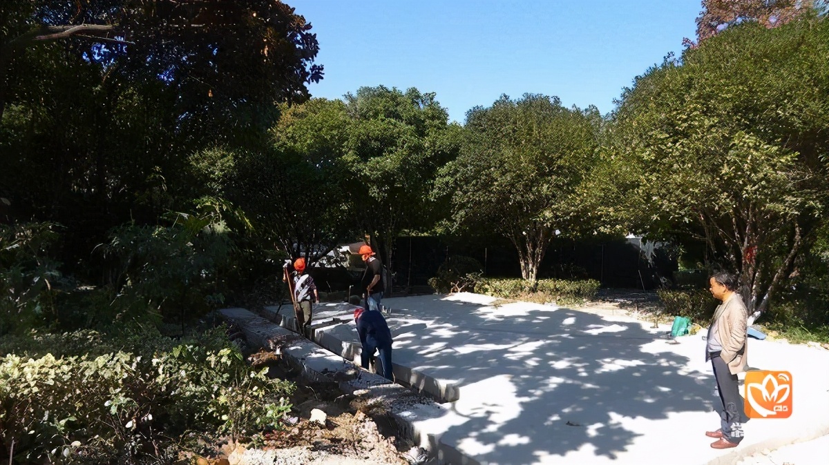 厕所改革优秀城市,城市厕所改革典范