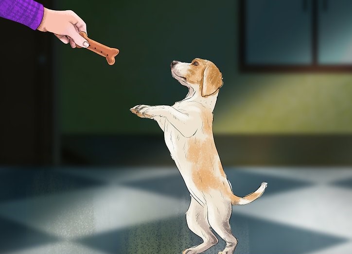 胃食管反流炎怎么治,胃食管反流炎首选什么药治疗最佳