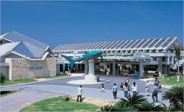 这个冬天来威海玩雪吧,冲绳出海看鲸鱼的季节