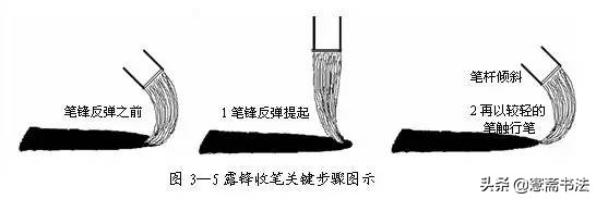 愙斋书法楷书结构51法,愙斋书法最全欧楷笔法动态图