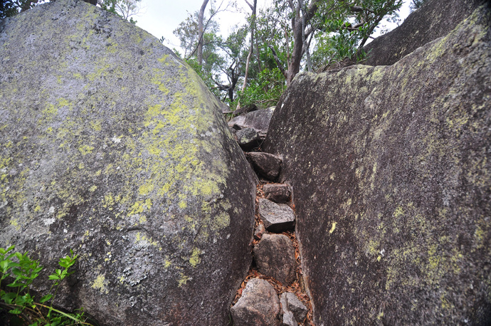 全民热遗|大堡礁上有个翡翠岛,绝美好玩,还是海龟康复中心