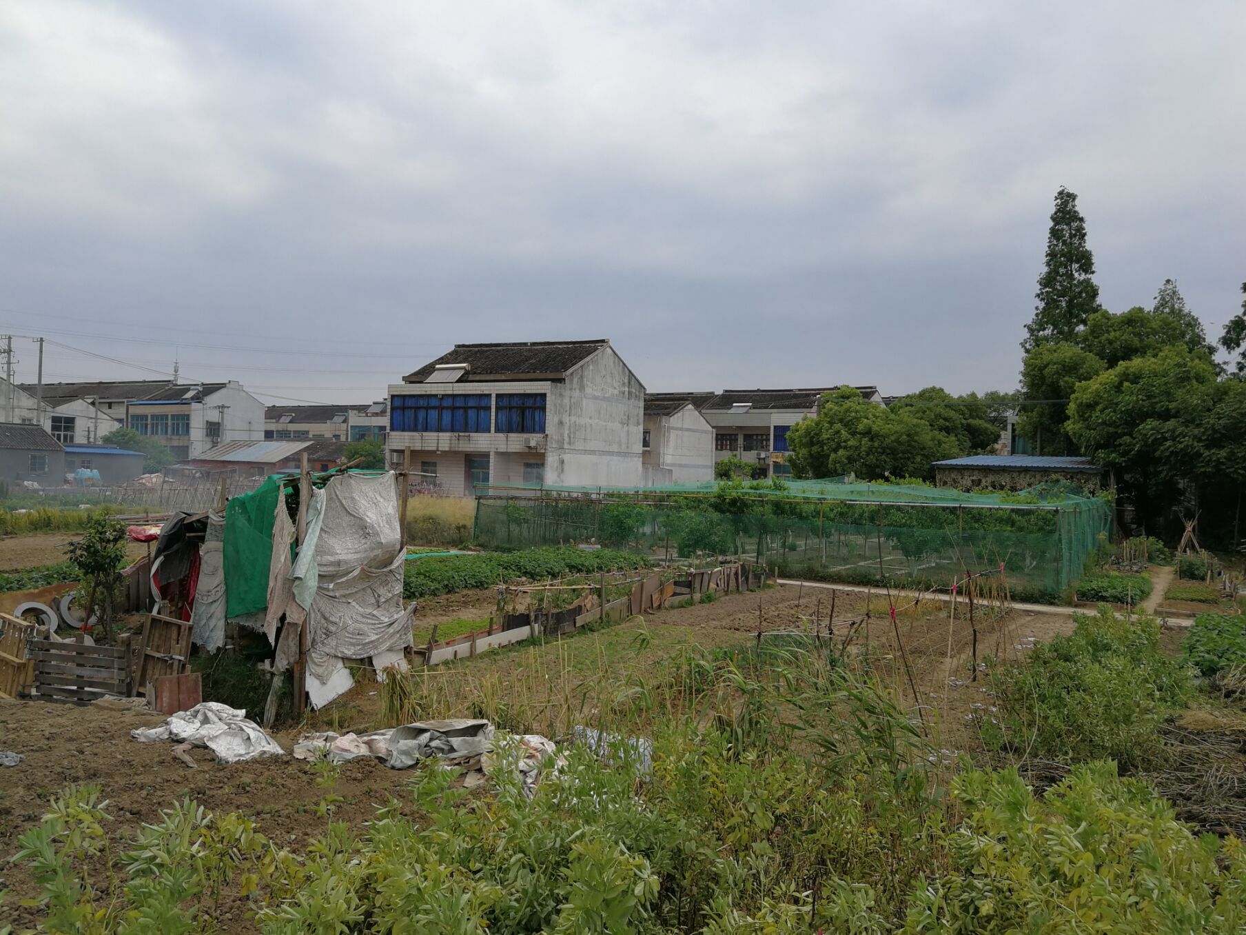 城市西进计划实施方案,江阴夏港发展规划最新消息