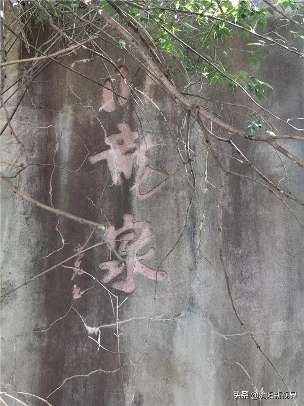 南阳酒精厂旧址,南阳酒精厂来历