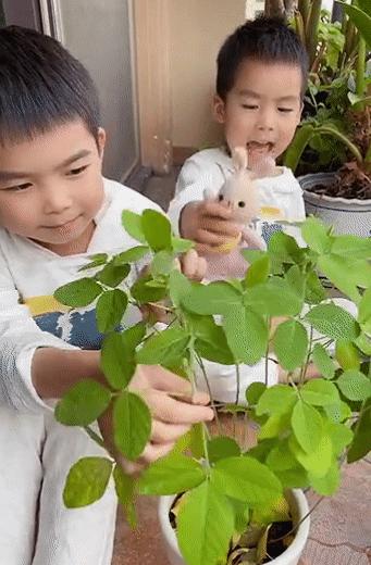 小学生健康用眼方式纠正浅度近视,怎么改善孩子眼睛中度近视