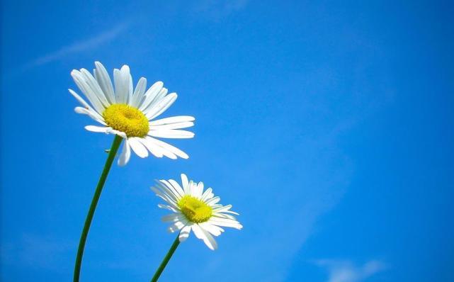 十二星座女温柔撒娇的表现,12星座男生对女生体贴度排行