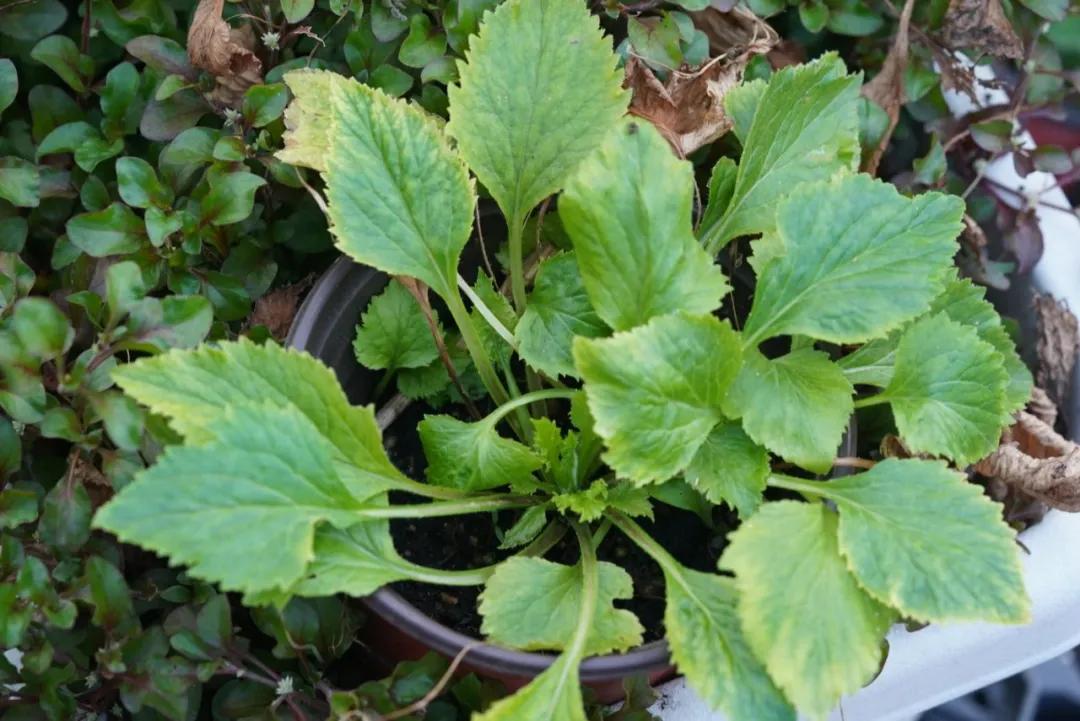 做好这三点你才能成事,做好这三点淡斑效果翻倍