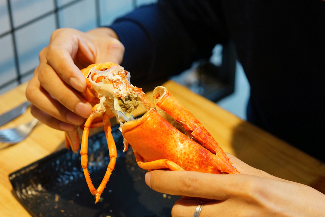波士顿龙虾最高级的吃法,波士顿龙虾最新的吃法