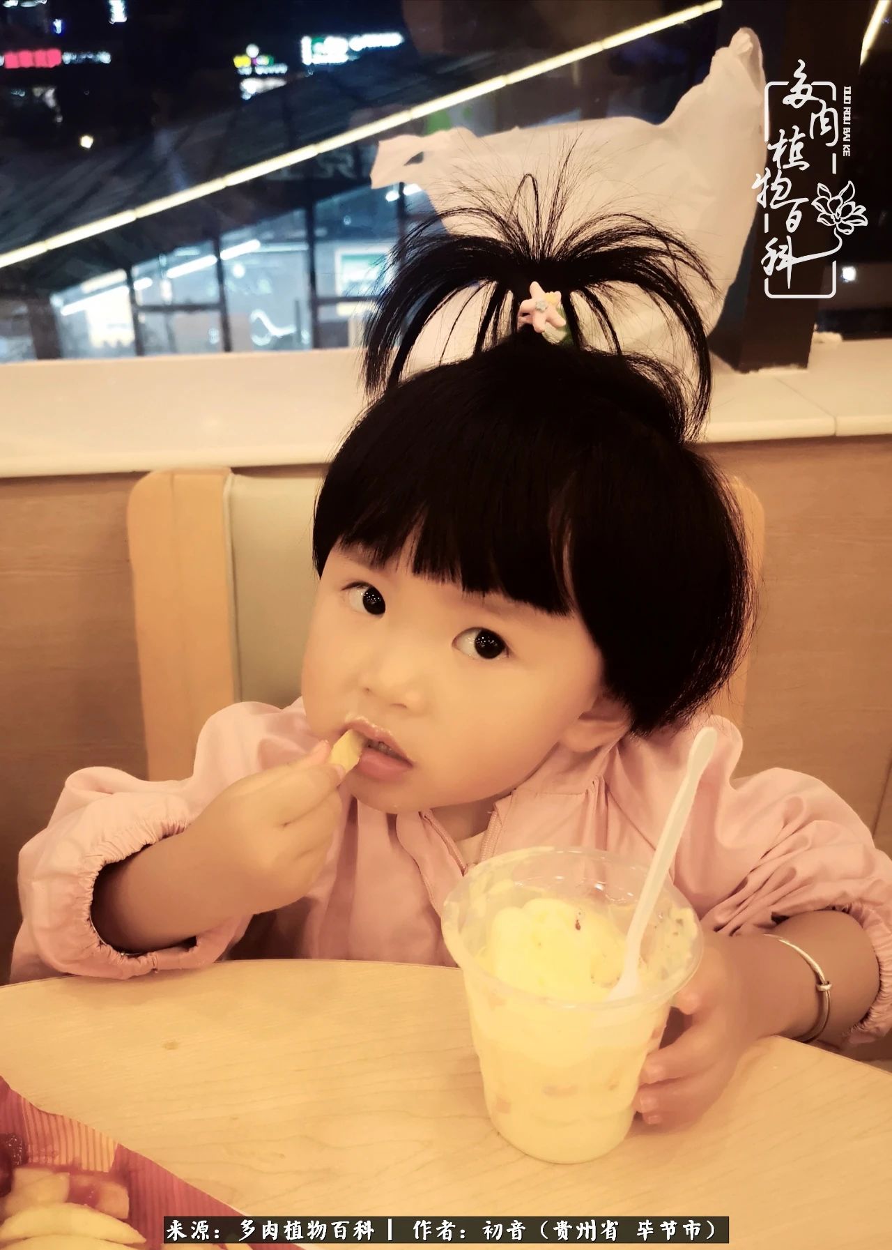 和多肉共度美好时光,与多肉一起成长