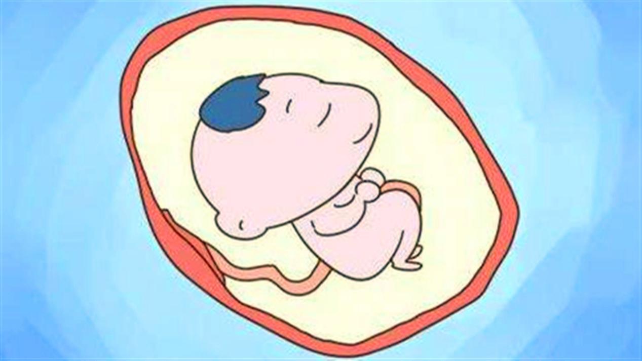 孕妈睡觉宝宝在干什么,孕妈七个月宝宝在肚子里干嘛