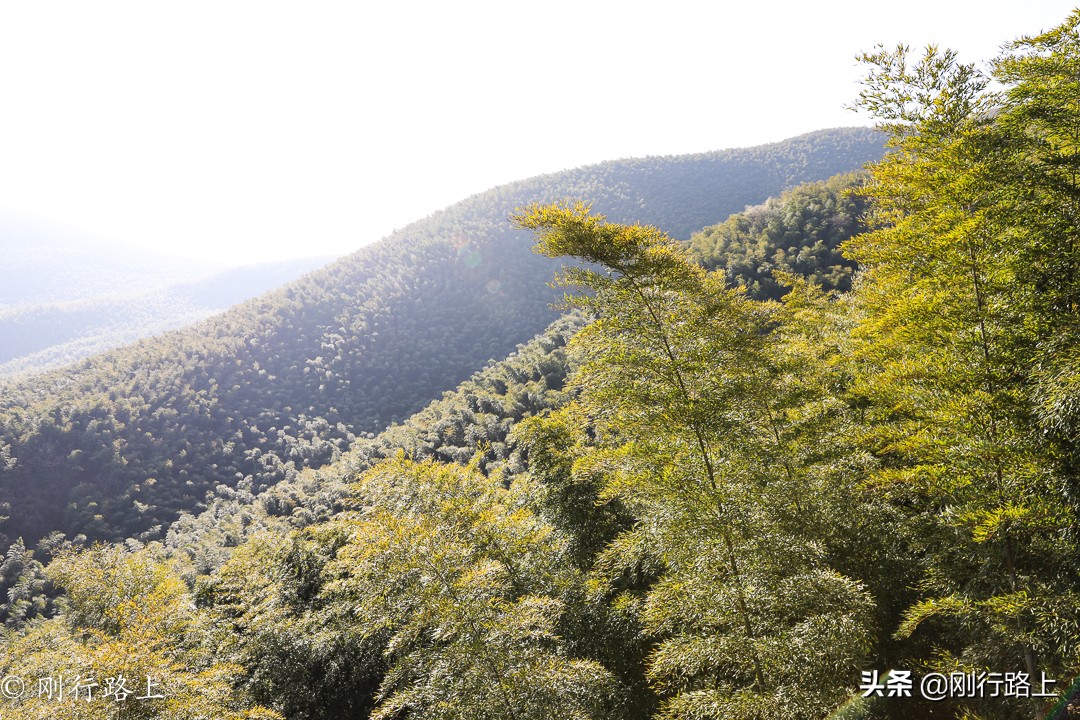 华东第一竹海之称的地方，冬季里冰花最吸引人