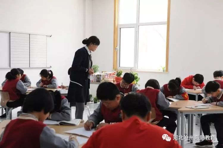 春风十里梦起航，听课评课促成长