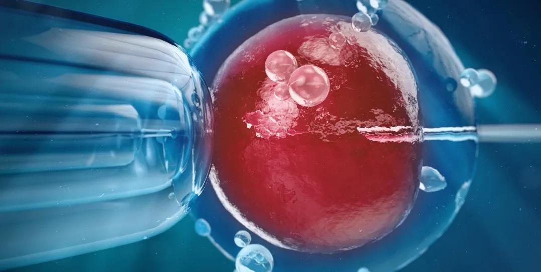 常见的辅助生殖技术,辅助生殖技术纳入医保项目有哪些