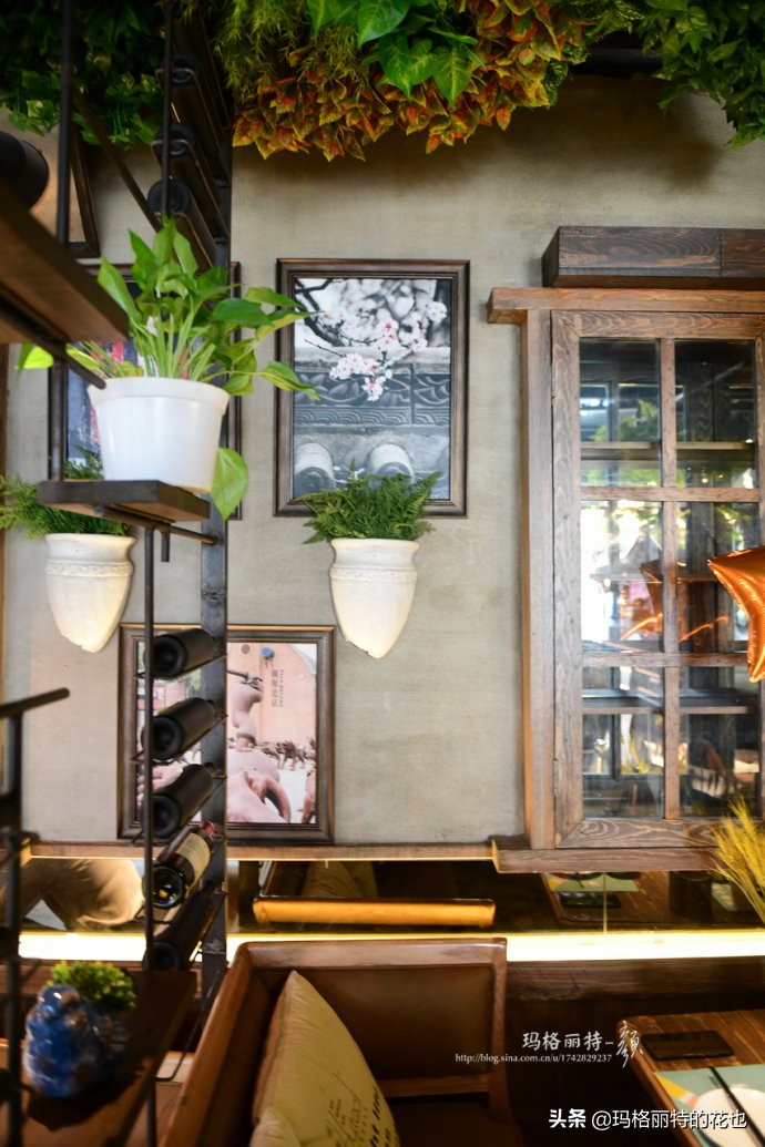 网红餐厅“胡桃里”的绿植布置|行摄