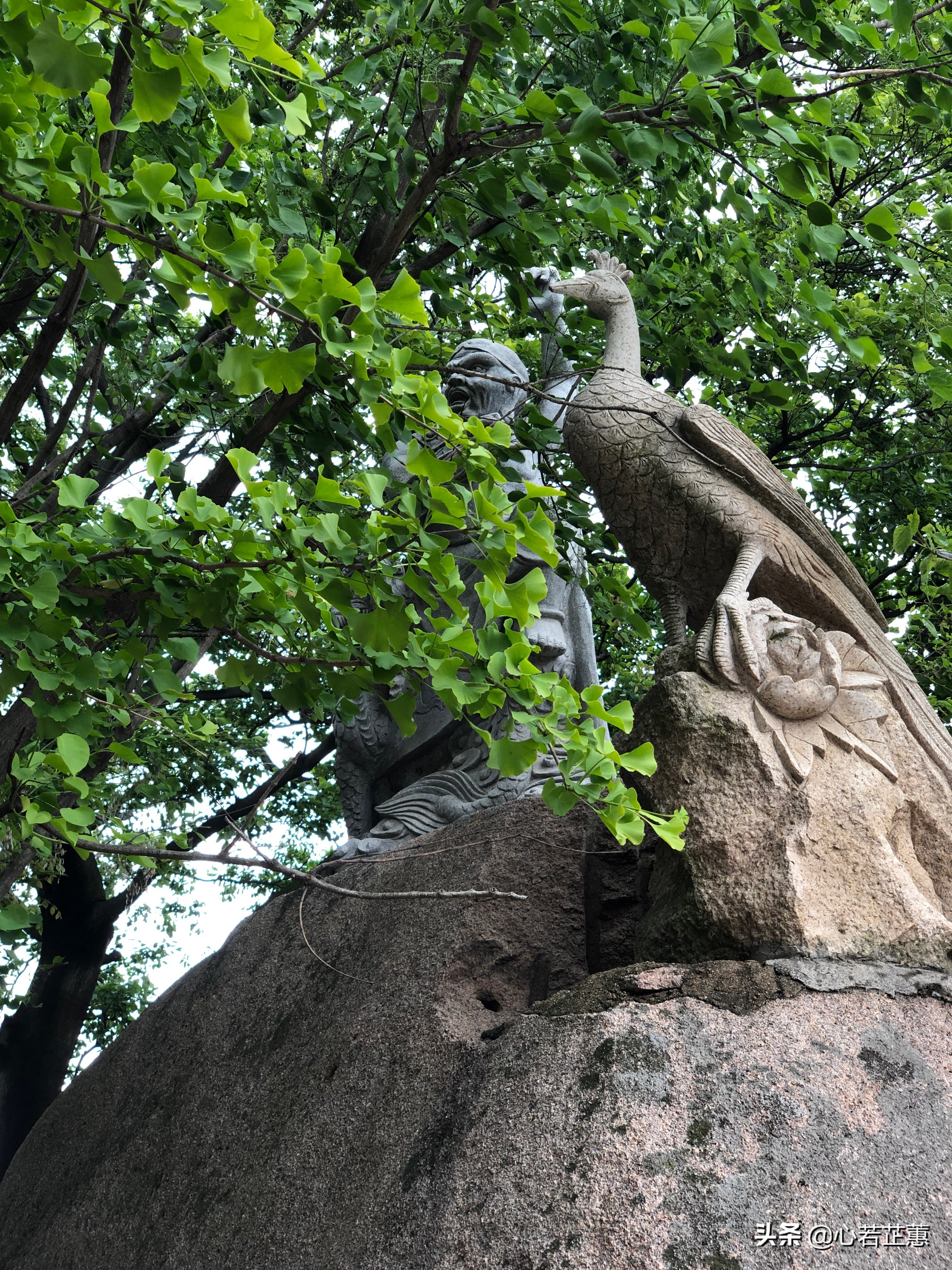 这里山景独美,这里怪石嶙峋