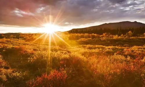 冬天脚凉手凉咋回事,夏天手凉脚凉怕冷是什么原因