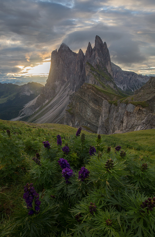 秘籍----移日*法大**