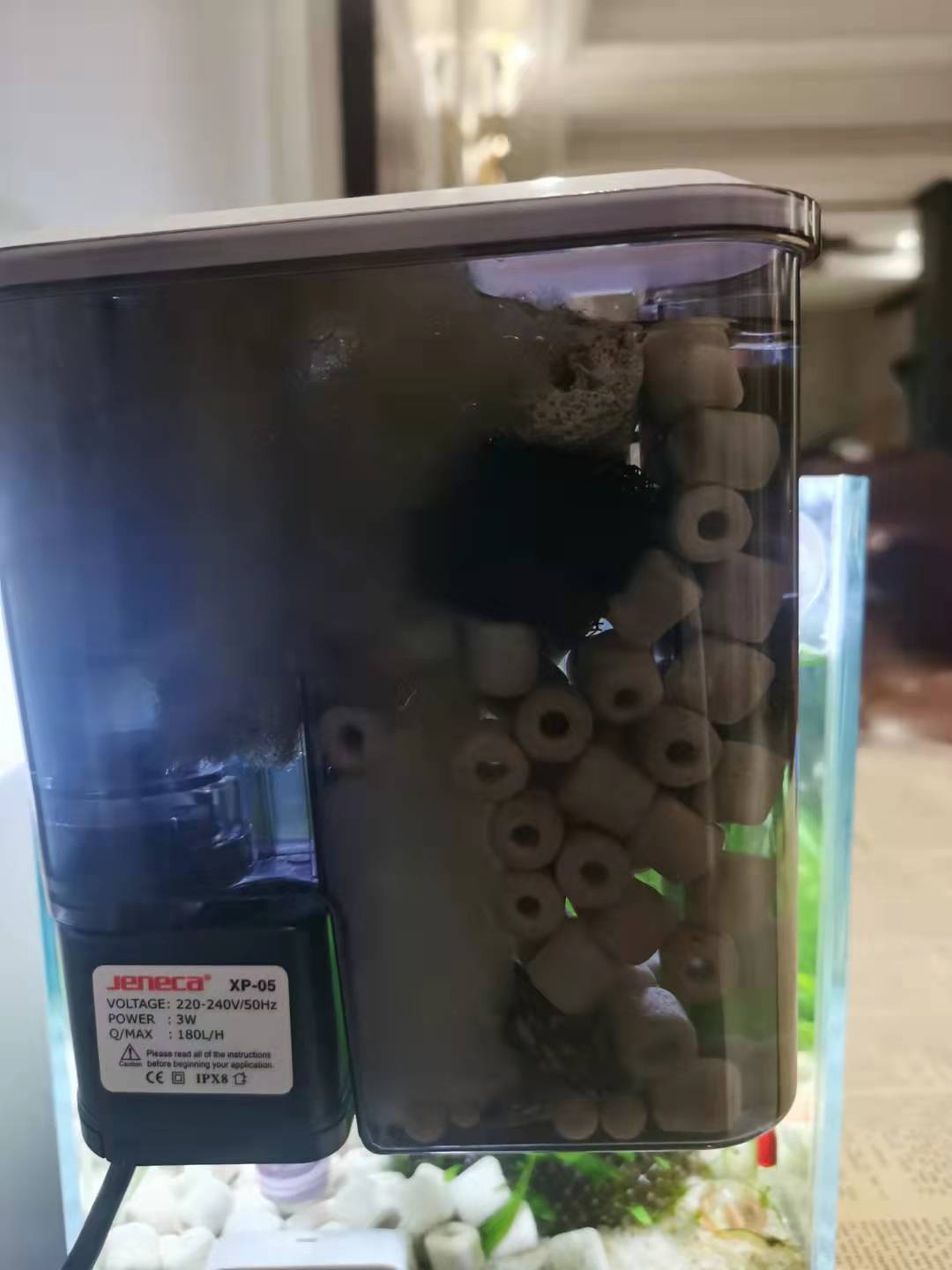 龟缸沼泽过滤养鱼制作方法,圆缸养鱼如何过滤