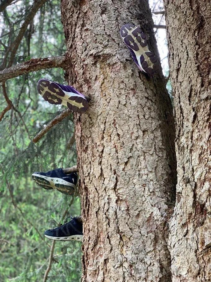 6月徒步乌孙古道骑马穿越,几月去乌孙古道徒步合适