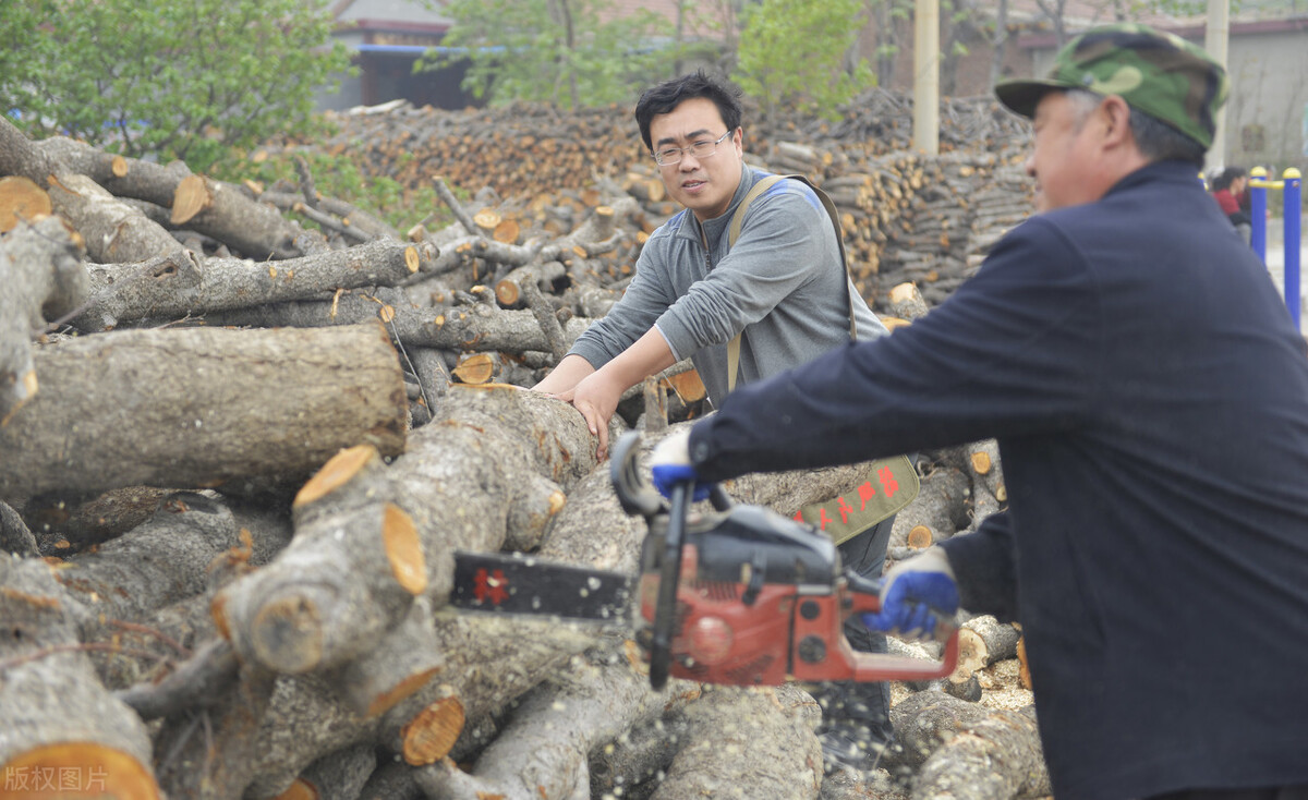 自家的树卖办砍伐证要多少钱,广西农民自家种树砍了被罚款