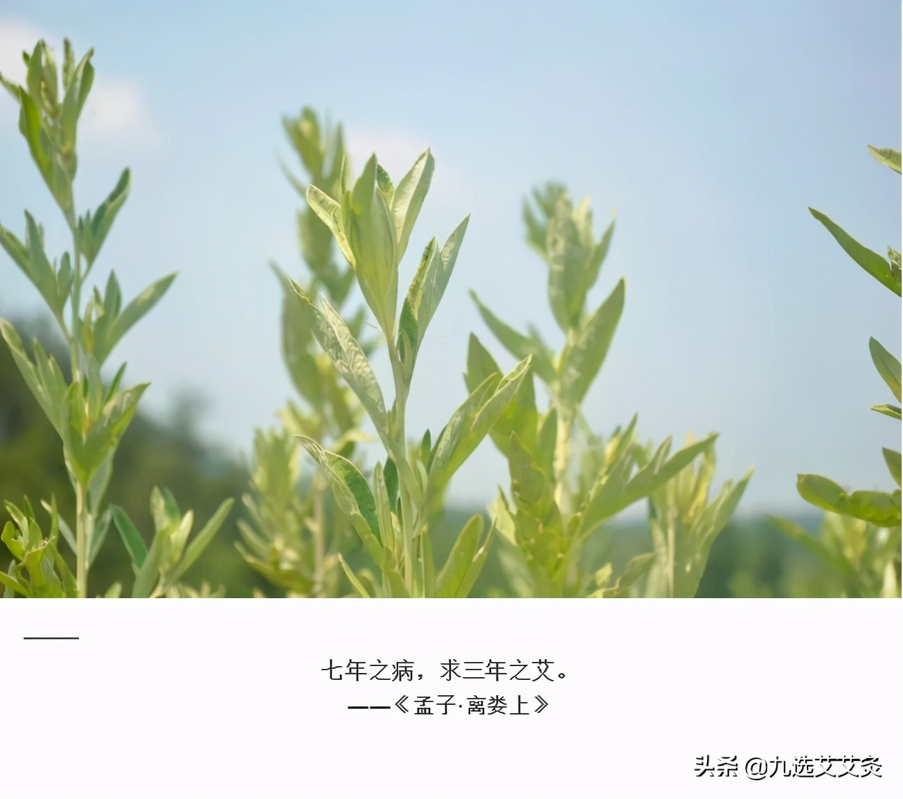 艾灸关元时配什么引火下行的穴位,艾灸上火如何引火下行