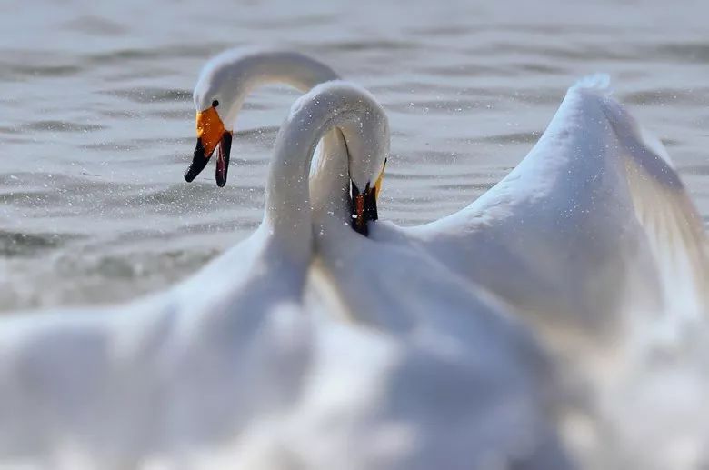 唯一上榜2018最具幸福感的县级市的北方小城，光海鲜就能吃到爽！