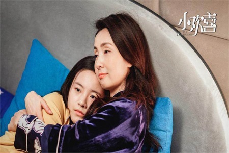 小欢喜合集完整版,小欢喜全剧解说