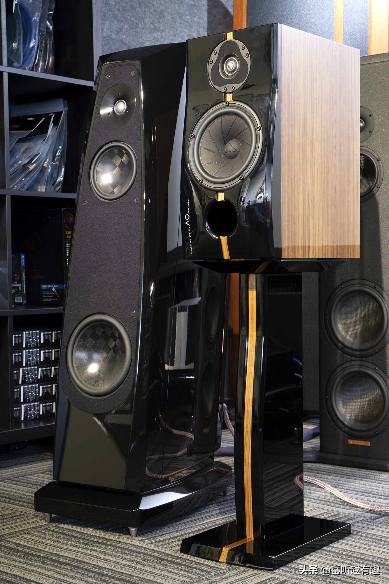 中坚力量——评AQPassionTeen书架式音箱