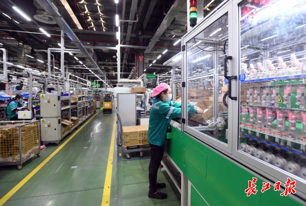 打通产业和市场循环，全要素为企业“舒筋通骨”增强经济韧劲