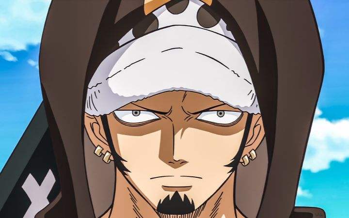 海贼王七武海实力排名,海贼王里的王下七武海排名